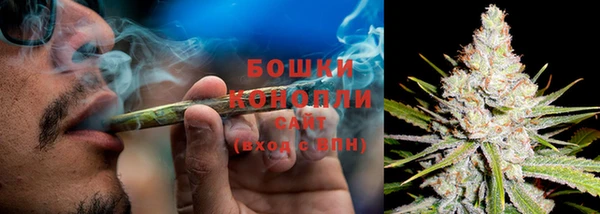 бошки Карпинск